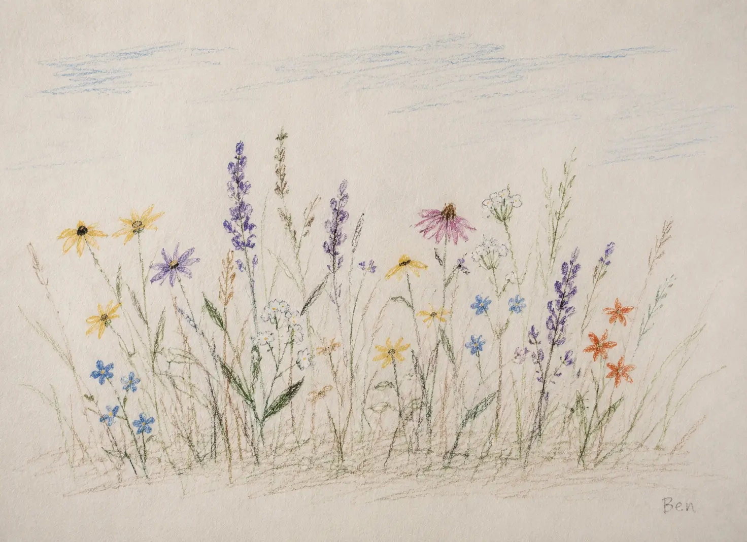 A child's colored-pencil drawing of wildflowers, signed Ben in the corner